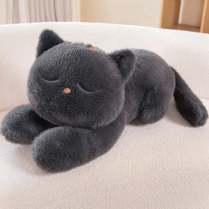 Peluche Black Cat