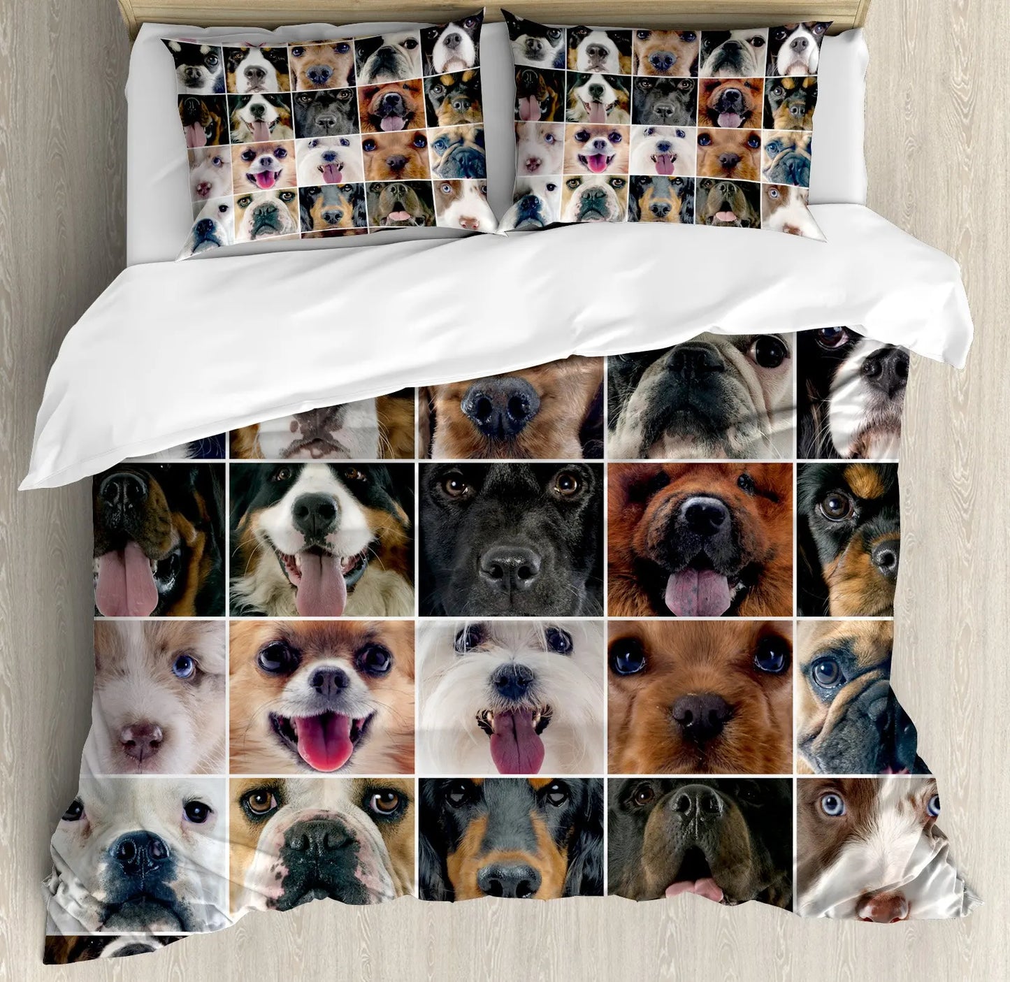 48663164322023|48663164354791|48663164387559|48663164420327