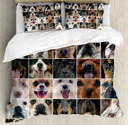 48663164322023|48663164354791|48663164387559|48663164420327