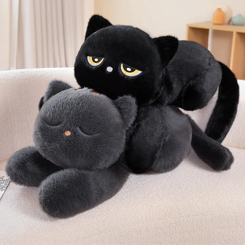 Peluche Black Cat