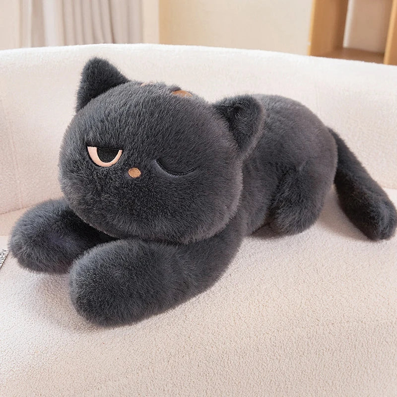 Peluche Black Cat