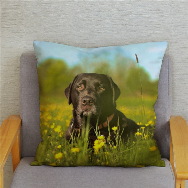 DOG cushion cover