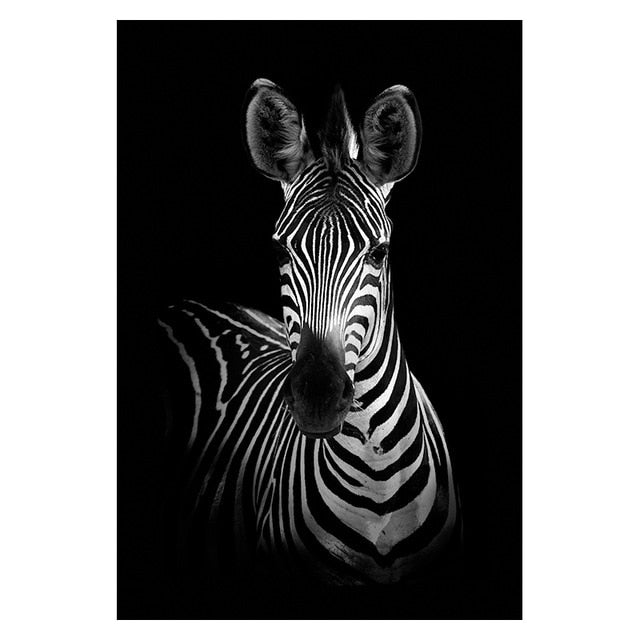Canvas Black and white Animal