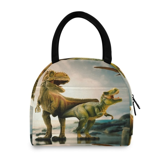 Dinosaur lunch box / several models