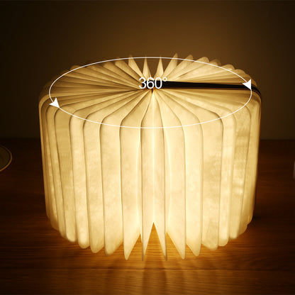Livre en bois LED 3D