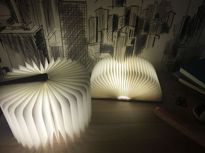 Livre en bois LED 3D