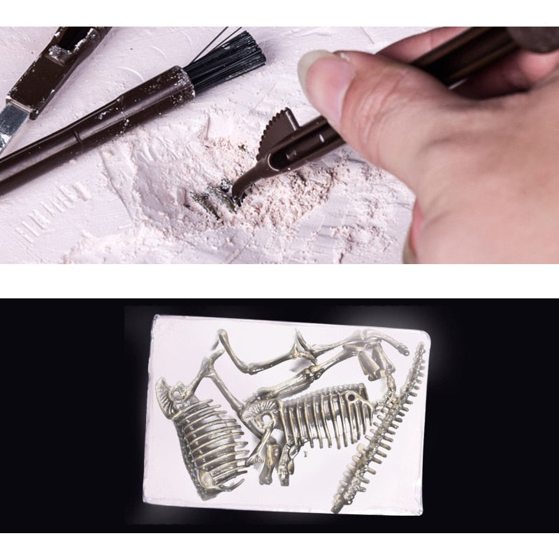 Kit d'excavation Fossile Dinosaure
