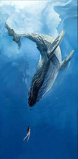 Art mural Canvas Blue Whale