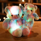 LED Rainbow Bear Plush Toy