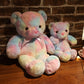 LED Rainbow Bear Plush Toy